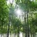Unknown's avatar